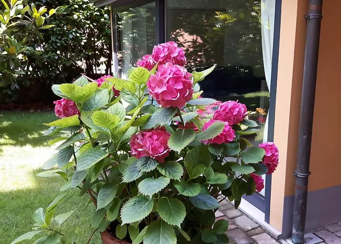 La Magnolia Bed & Breakfast