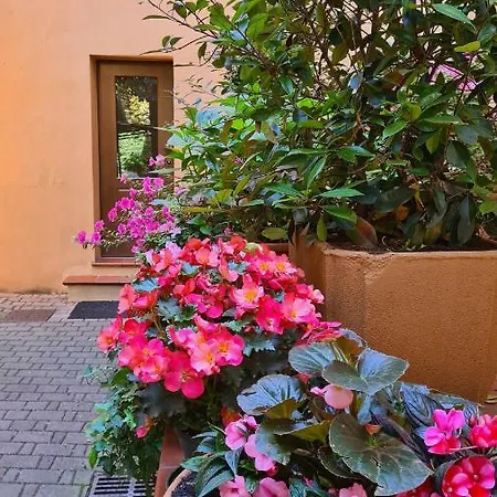 La Magnolia Bed & Breakfast *