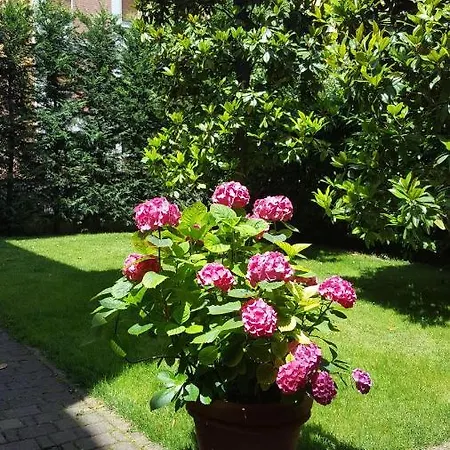 La Magnolia Bed & Breakfast Bologna