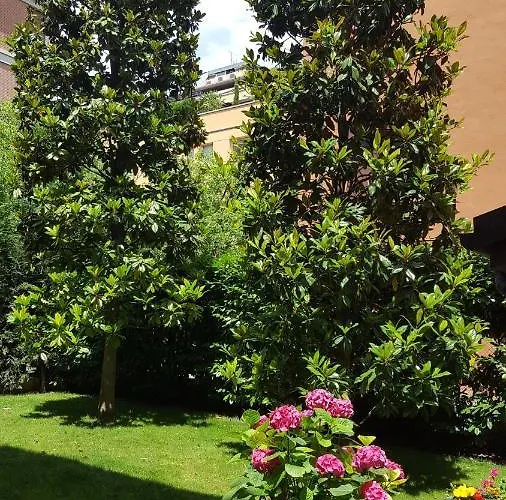 Alojamento de Acomodação e Pequeno-almoço La Magnolia