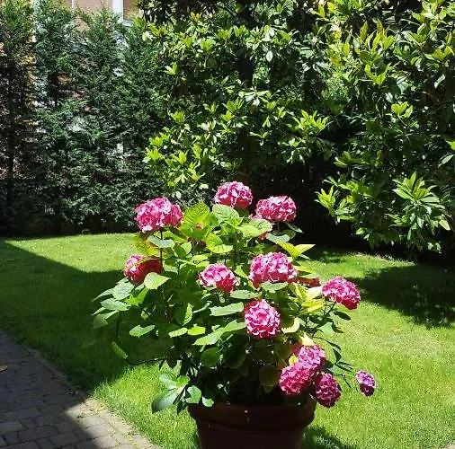 La Magnolia Alojamento de Acomodação e Pequeno-almoço Bolonha